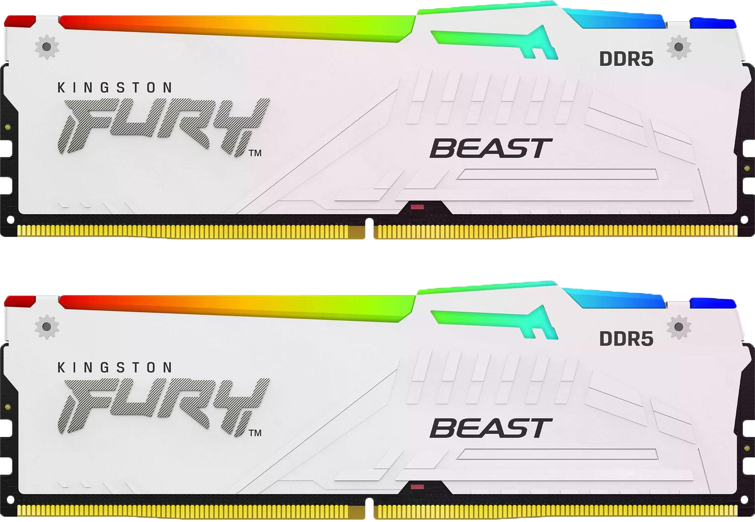 Kingston FURY Beast RGB weiß UDIMM 32GB Kit, DDR5-6000, CL30-36-36